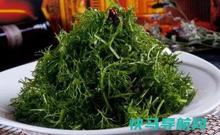 胃不好别怕，一周吃4次它，养胃驱寒，行气促消化，越吃