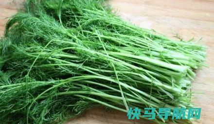胃不好别怕，一周吃4次它，养胃驱寒，行气促消化，越吃