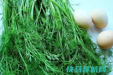 胃不好别怕，一周吃4次它，养胃驱寒，行气促消化，越吃