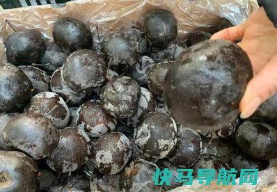 七旬大爷街边卖它，6元一斤，无人识货，我看了一眼全