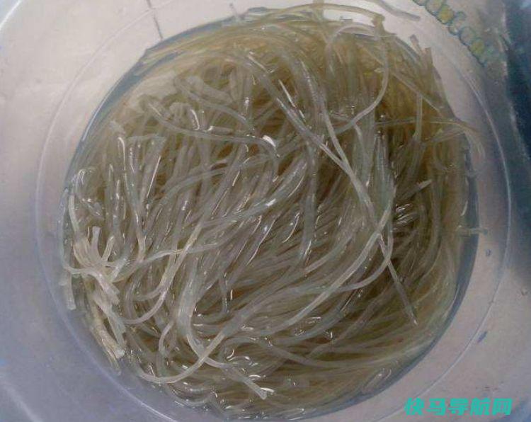 泡粉条，用开水还是？加入3样东西，泡粉条真快，5分