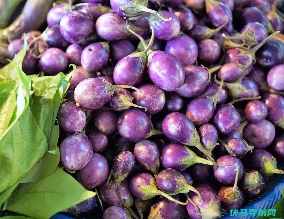 做茄子不费油，还这么