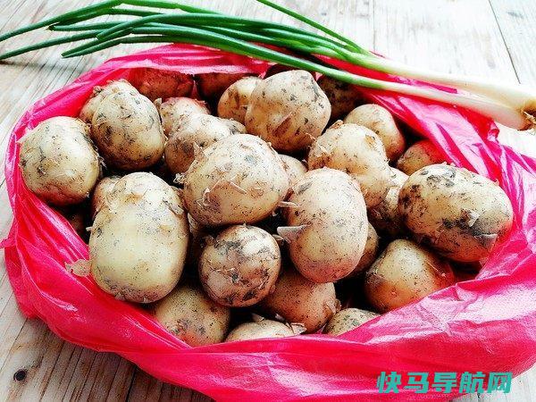 很多人不知道它脂肪含量低至01%，不仅能，还美