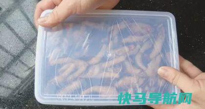 鸡爪不炖不卤，教你开胃，一次做一斤，到