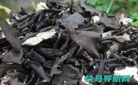 石耳怎么吃 石耳怎么清洗