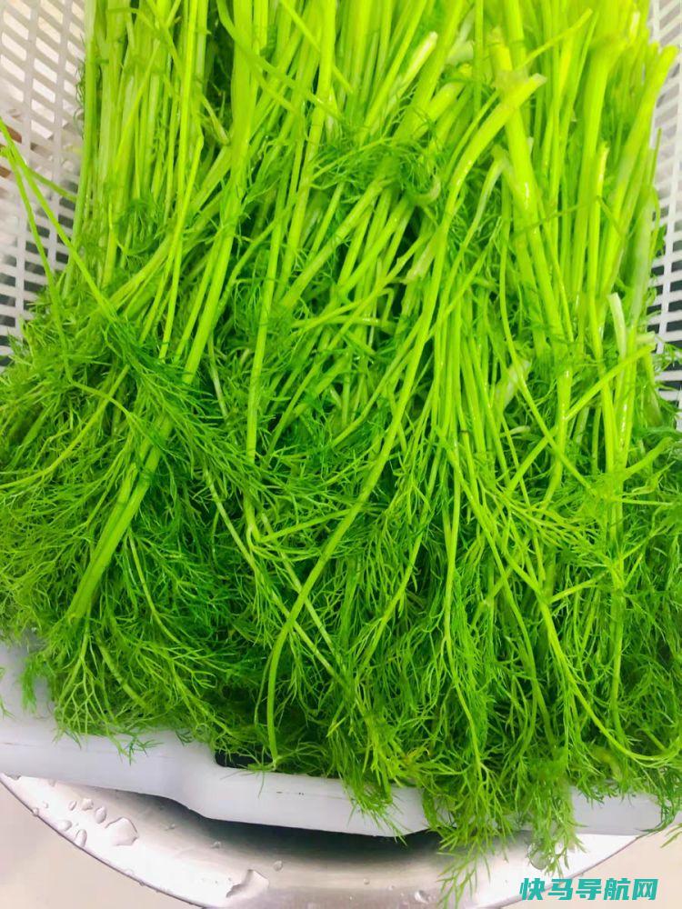 冬季吃这馅饺子，鲜嫩可口，给身体来次大扫除，湿气消失了，腰围变细