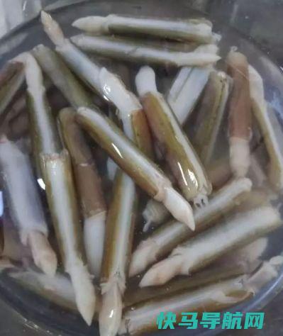 这菜，多给孩子吃，补脑特厉害，提高记忆力，孩子学习成