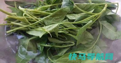 冬至过后，遇到此菜别放过，叶酸含量高，比吃肉养人，1