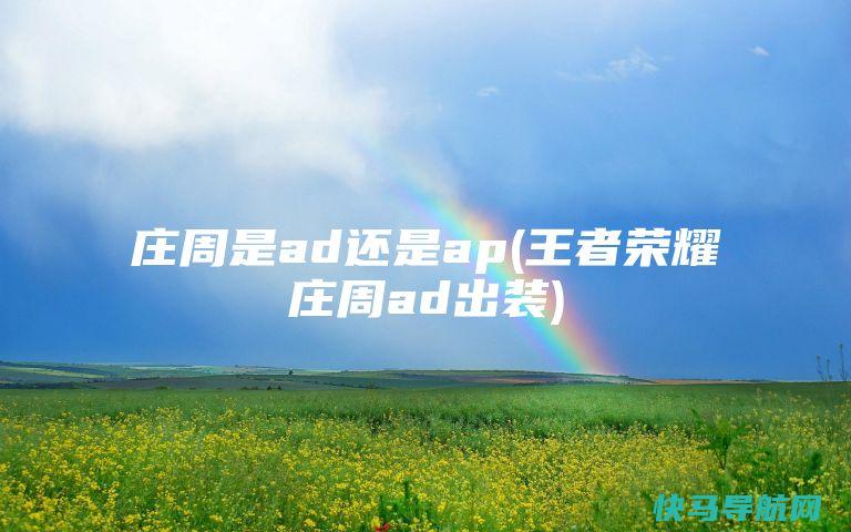 庄周是ad还是ap(王者荣耀庄周ad出装)