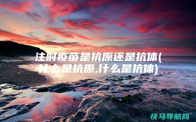 注射疫苗是抗原还是抗体(什么是抗原,什么是抗体)