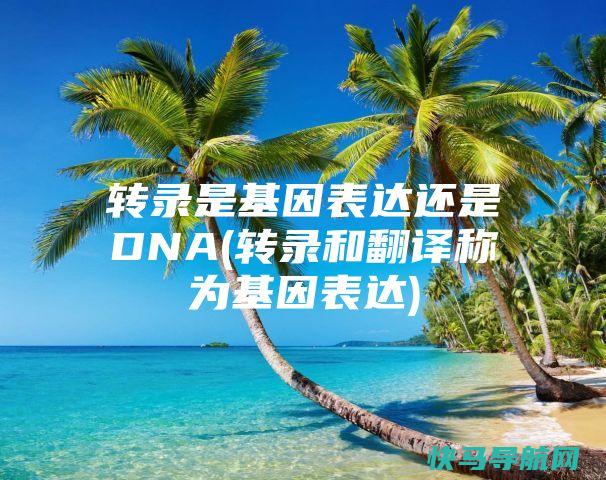 转录是表达DNA(转录和翻译称为表达)