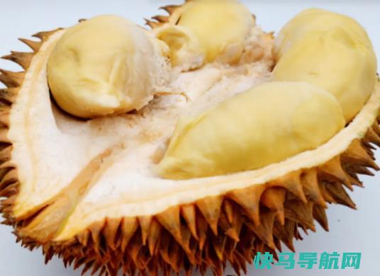 榴莲吃起来酸酸的是不是坏掉了？榴莲吃着水了吧唧的回事