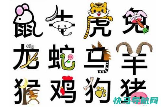 12生肖排序，鼠牛虎兔龙蛇马羊猴鸡狗猪动物的