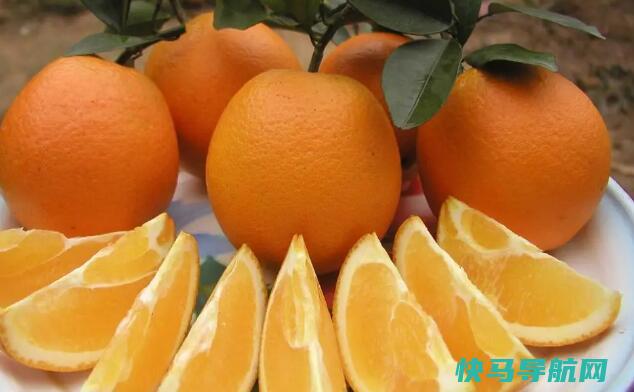 吃完虾千万别碰5种食物，虾与维生素C一起吃会砒霜中毒