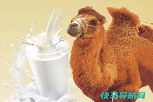 正宗驼奶多少钱一罐,400-500元左右(不同的品牌和含量价格会有不同)
