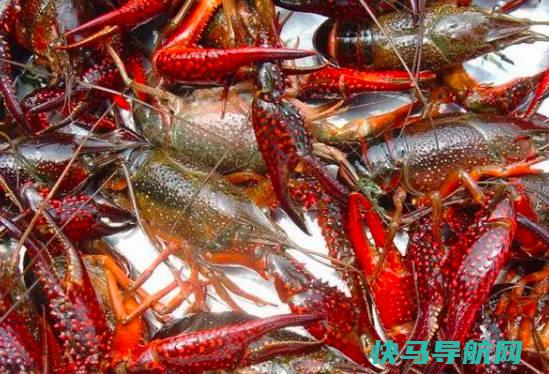 中国的小龙虾产地有哪些，江苏盱眙、湖南洞口、湖北沙洋（中国小龙虾之乡）