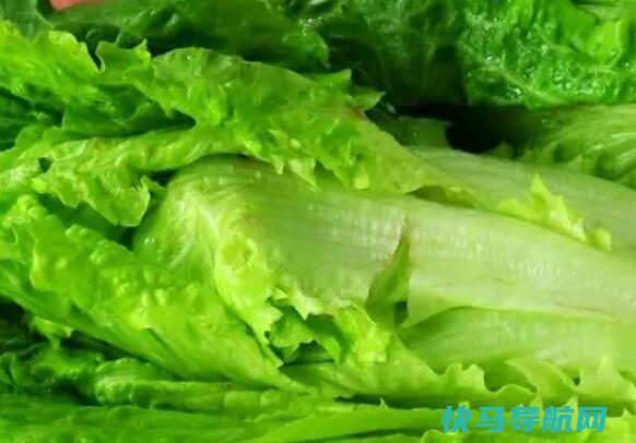 处暑能种生菜吗？处暑种生菜晚不晚？