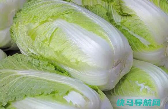 处暑可以种萝卜吗 处暑种萝卜晚不晚？