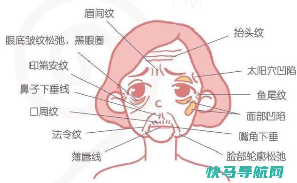 面部皱纹出现的顺序是怎么样的？皱纹的分类