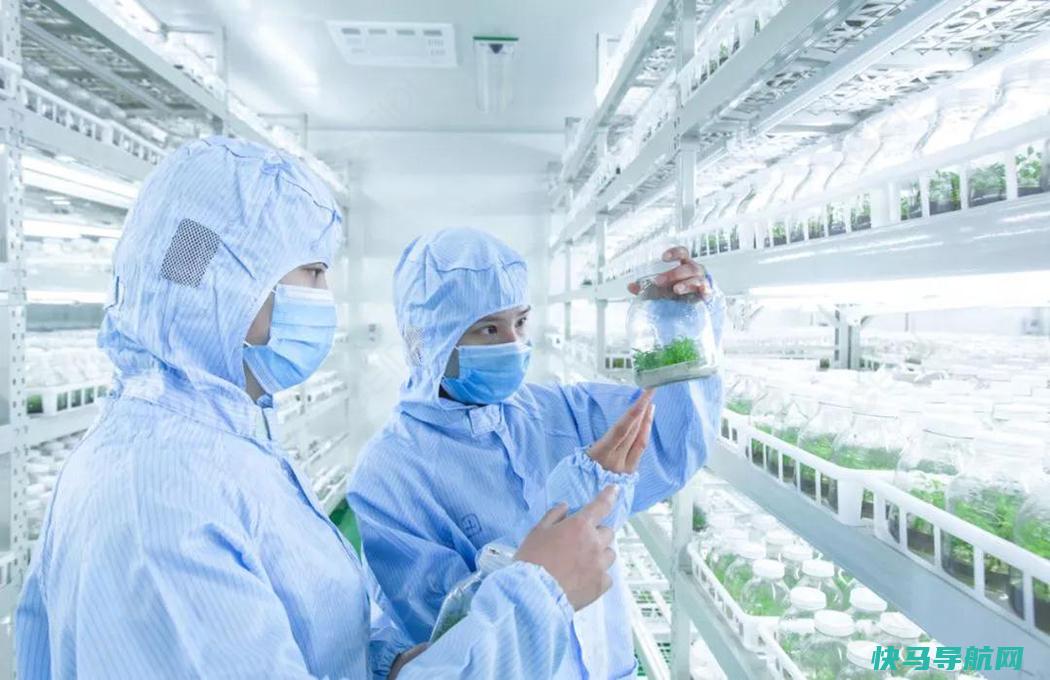 怎样正确的培养教育孩子