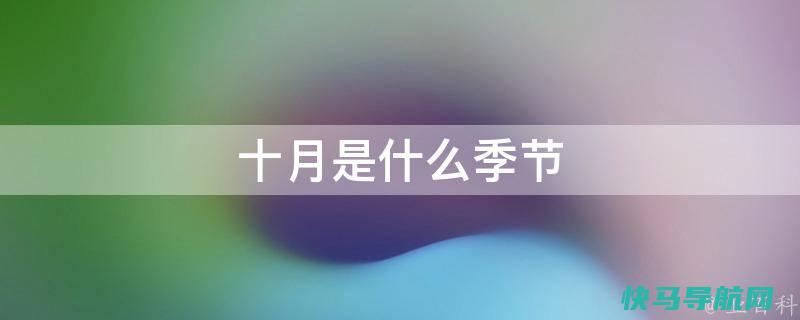 10个月的宝宝吃什么辅食