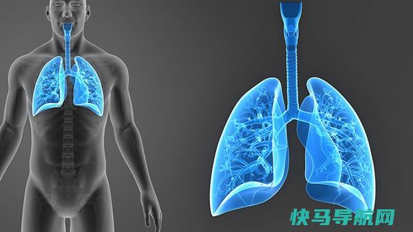 支气管炎患者切勿乱吃止咳药