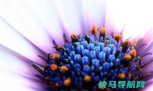 如何治离家出走的老公