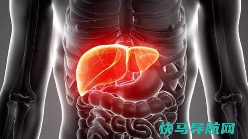 恶心是肝病还是胃病