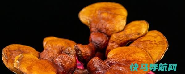 灵芝的功效与作用、禁忌和食用方法