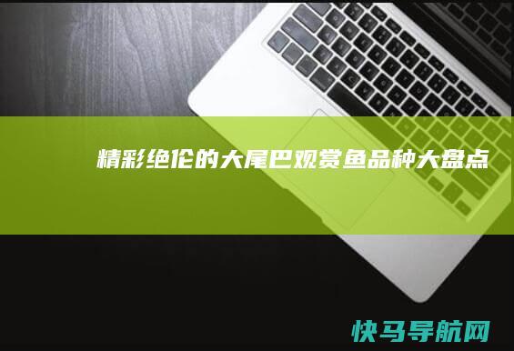 精彩绝伦的大尾巴观赏鱼品种大盘点