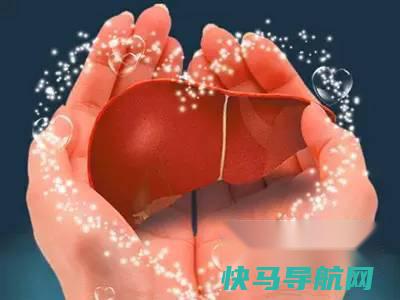 养肝的小方法