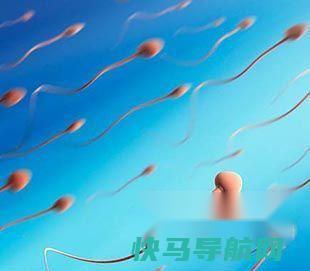 怎样诊断男性精子质量