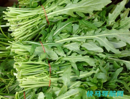 茼蒿治疗失眠吗？吃茼蒿会过敏吗