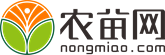 杜鹃花怎么养家庭养法
