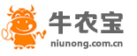 牛羊视频