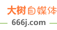 飞扬轻舞