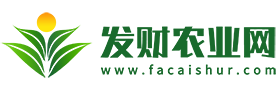 滴水观音