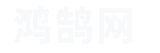 鸿鹄网