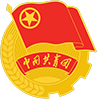 志愿服务交流会暨中国青年志愿服务项目大赛