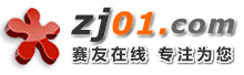 赛友在线