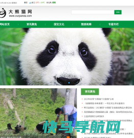 大熊猫网